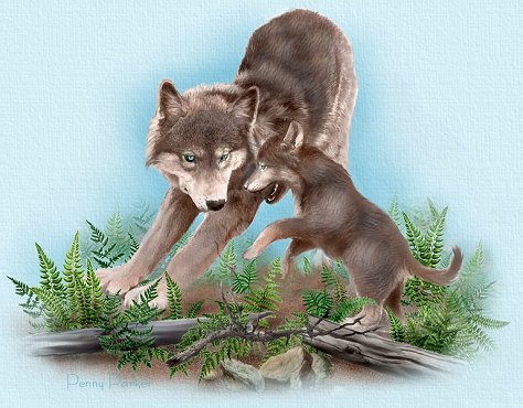 Wolves