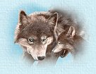 Wolves