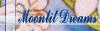 ashleybutton2.jpg (2151 bytes)