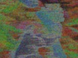 contest2r.jpg (41628 bytes)