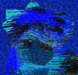 contestam.JPG (55267 bytes)