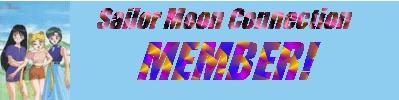 smconbanner.JPG (9847 bytes)