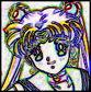 smneonedgecc.jpg (58307 bytes)