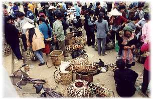 fresh meat variety for sale . . . !!! the market is alive with animal trades for the day. This gathering is over within an hour while the rest of the market remains open until dark . . .