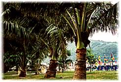 Patong Beach - Phuket