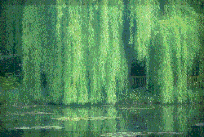 Monet's Garden