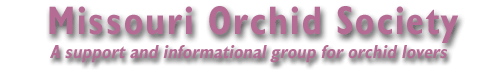 The Missouri Orchid Society: A support and informational group for orchid lovers