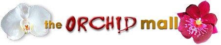 The Orchid Mall