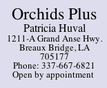 Orchids Plus
