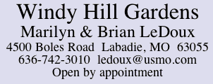 Windy Hill Gardens