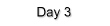 Day 3