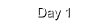 Day 1