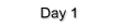 Day 1