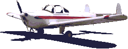 airplane.gif (5947 bytes)