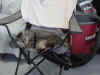 shopasleep.jpg (60386 bytes)