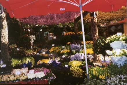 Flower Market