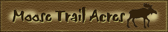 MTA Logo - by Cari
Click for Home Page