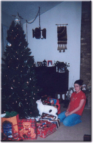 Check out the Tree