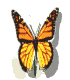 Monarch