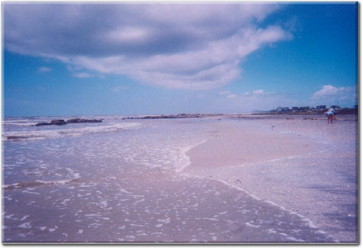 Walking the beach