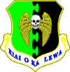 5th Bomb Wing patch