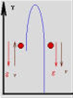 Tiro vertical y ca&iacute;da libre