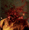 uncut_8.gif (34493 bytes)