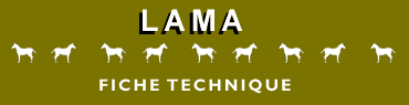 Lama