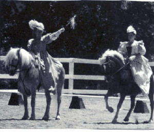 Great horse show in Walnut Creek