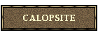 CALOPSITE