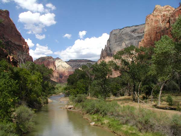A river runs through it - Zion