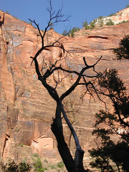 Towering Cliffs