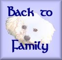 Back to my Family