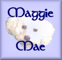 Visit my fur sister Maggie Mae
