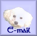 Send me some Mail!!