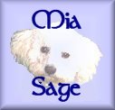 Visit my girlfriend Mia Sage