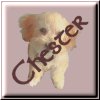 Visit my bestest buddy, Chester Pester
