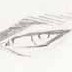 Cannon Hawke