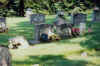 FF17.jpg (67389 bytes)