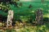 FF3.jpg (73550 bytes)