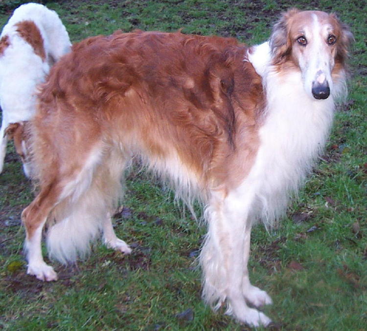 Sierra posed