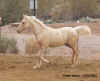sonny120202b.jpg (27504 bytes)