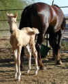 Photo taken:   5/3/02