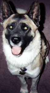 Nala