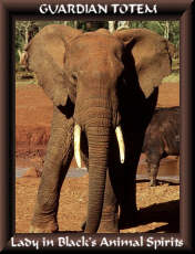 ElephantTotem