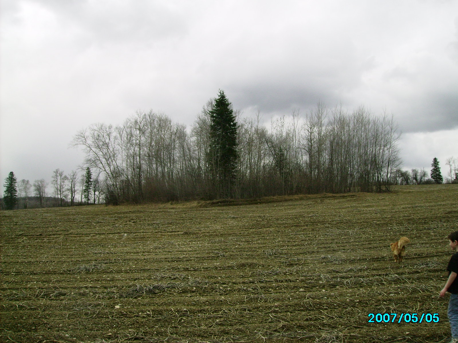 Garrison Graveyard, south of Florenceville, New Brunswick