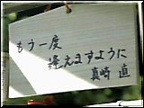 Taiyo wa Shizumanai