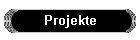Projekte