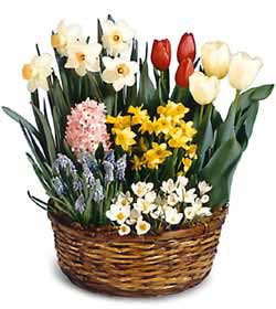 Easter Flower Basket