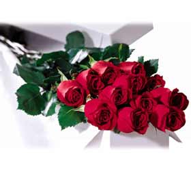 Long Stem Red Roses